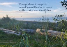 Quote by Alan Cohen, photography by Sharon K. Summerfield at Cluxewe Resort in Port McNeill, BC