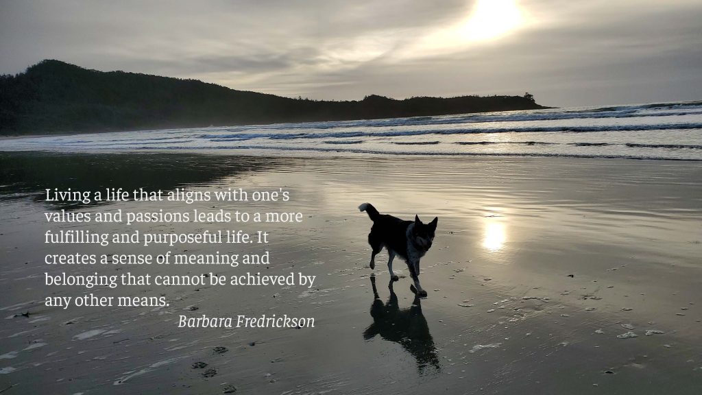 photography by Sharon K. Summerfield in Tofino as the sun is setting. Featuring quote by Barbara Fredrickson